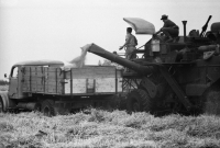 Žně v roce 1967 v Orlickém Podhůří