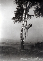 Žena pózuje na stromě