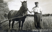Kamarád i pomocník