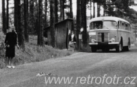 Autobusová zastávka v lese