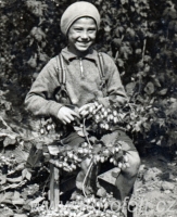 Dětský česáč chmele