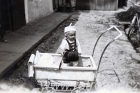 Dítě v kočárku a s babičkou