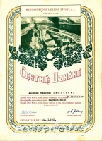 Čestné uznání chvaletických dolů
