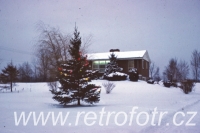 Vánoční strom v USA